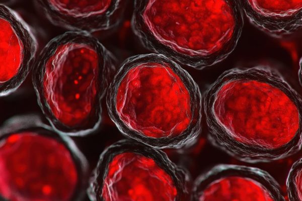 Microscopic Red Blood Cells #image_title